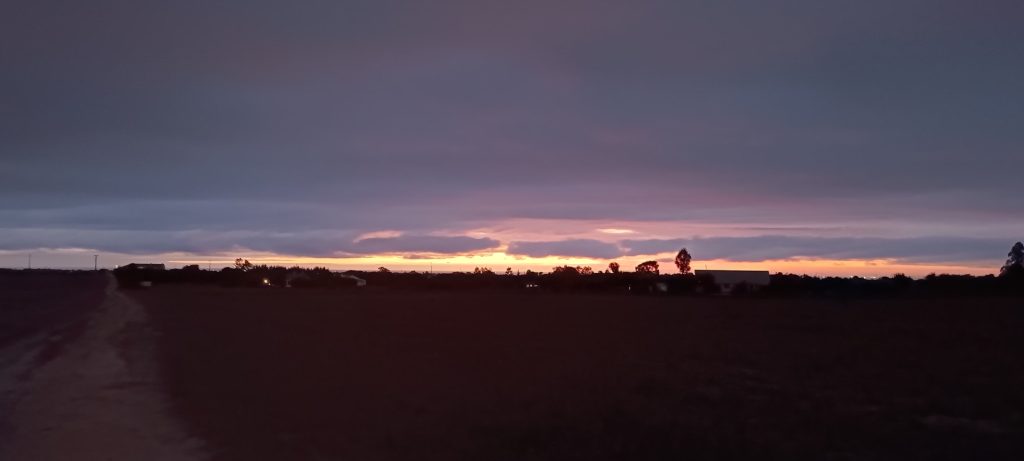 Sundown in the Alentejo. Low-riding sun under a blanket of purple clouds.